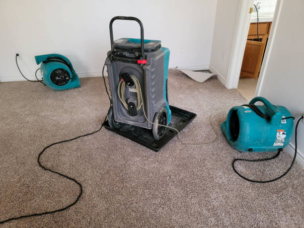 Best Water damage contractors near me  in Orange Blossom, CA