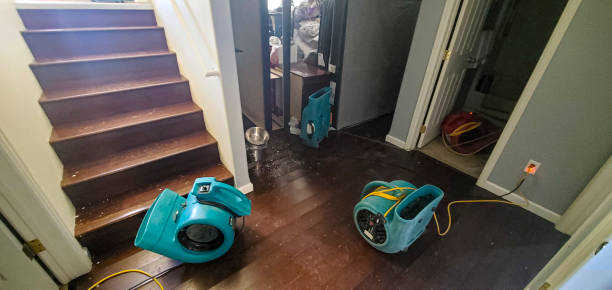 Best 24-hour water damage restoration  in Orange Blossom, CA