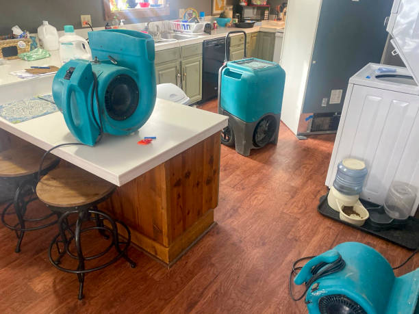 Best 24/7 water damage repair  in Orange Blossom, CA