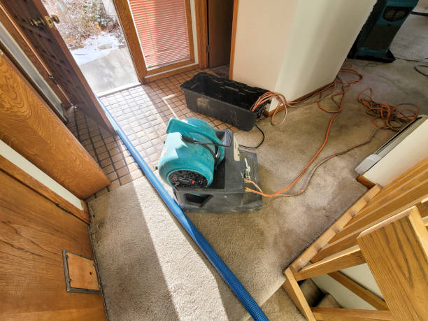 Best Basement water damage restoration  in Orange Blossom, CA