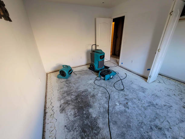 Best Flooded house restoration  in Orange Blossom, CA