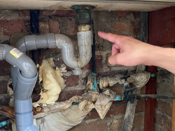 Best Flood restoration services  in Orange Blossom, CA