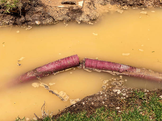 Water damage restoration mold remediation in CA