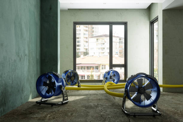 Best Water damage restoration specialists  in Orange Blossom, CA