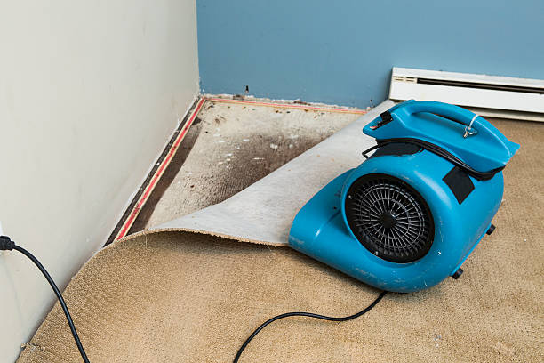 Best Sewage cleanup and water damage restoration  in Orange Blossom, CA